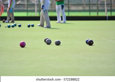Ladies playing lawn bowls. Soft focus on the blurred background.