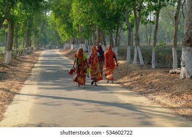 Ladies in saris in the distance, near Srimangal, Bangladesh