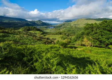 Ladies View Ring Of Kerry