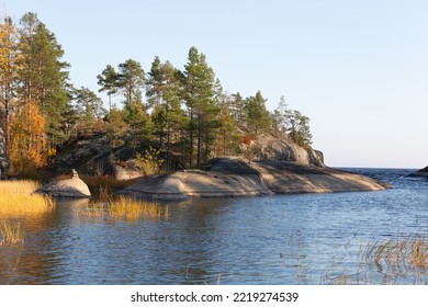 Ladoga Skerries On The Lake. A Beautiful View Of The Rocky Shores Covered With Pine Trees. Nordic Nature At Sunset. Stunning View Of Islands And Archipelago. National Park Of Karelia