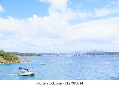 Lady Bay Beach, Sydney, Australia -  10.Feb.2022:Lady Bay Beach with beautiful blue sky - Shutterstock ID 2127393014