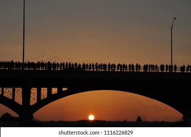 Lady Bird Lake, Austin, Texas, USA - 7/2011:  Bats Coming Out At Night