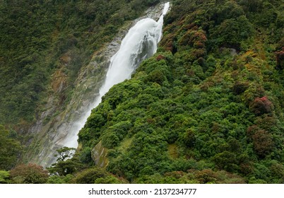 Lady Bowen Falls in Milford Sound with Southern Rata forest in bloom, South Island. 