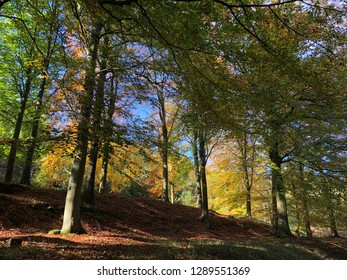 Lady Bower Reservoir