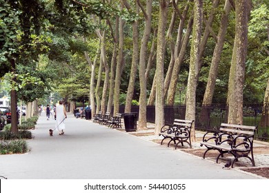 Lady and dog walking down a street with benches and trees in the Upper West Side, Manhattan, New York - Shutterstock ID 544401055