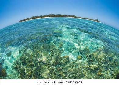 Lady Elliot Island, Fish Eye Lens