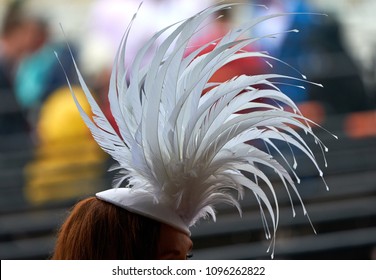 A Lady In A Hat At A Horse Race.