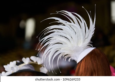 A Lady In A Hat At A Horse Race.