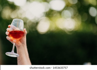 Lady holding up a glass with an alcoholic drink in it for a toast or speech at a wedding outdoors - Shutterstock ID 1453633757
