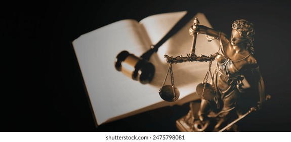 Lady Justice statue in law and books in background. Law and justice concept - Powered by Shutterstock