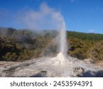 Lady Knox Geyser eruption with rainbow, Waiotapu, North Island, New Zealand, Pacific