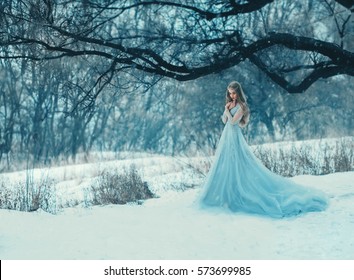 https://image.shutterstock.com/image-photo/lady-luxury-lush-blue-dress-260nw-573699985.jpg