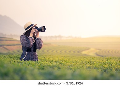 Lady Photographer At Tea Field