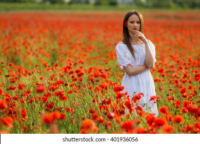 Lady Poppy Field Stock Photo 401936056 | Shutterstock