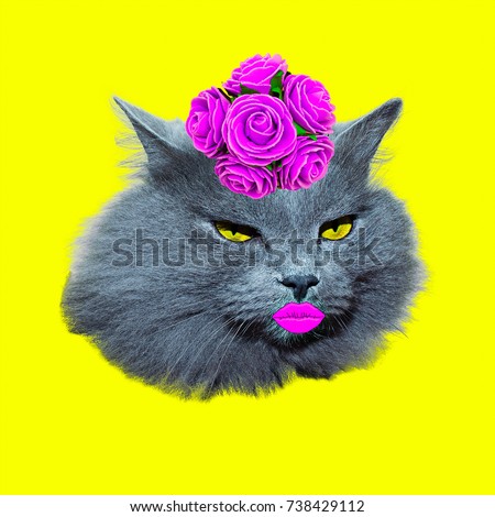 Lady Retro Cat Contemporary Art Minimal fashion collage Flat lay