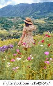 A Lady Standing In A Flower Field With A Very Beautiful Mountain Scenery In Phetchabun, Thailand