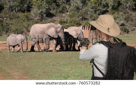 lady tourist looking at elephants through binoculars while on Safari on South Africa
