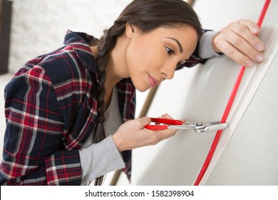 Lady Using Pliers For Diy Project