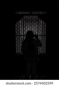 the lady in the window