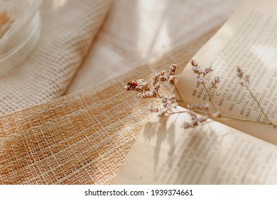 ladybug crawling through the pages of a book with dried flowers - Powered by Shutterstock