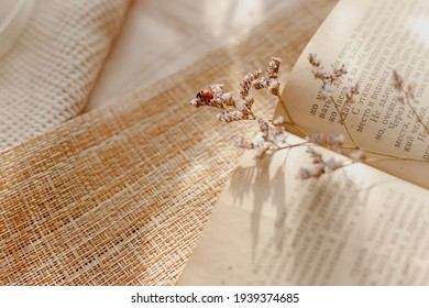 ladybug crawling through the pages of a book with dried flowers - Powered by Shutterstock