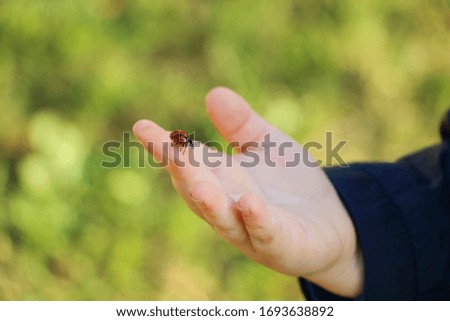 Similar – My daughter is holding a tiny little crab on her hand. There were thousands of them in the mudflats.