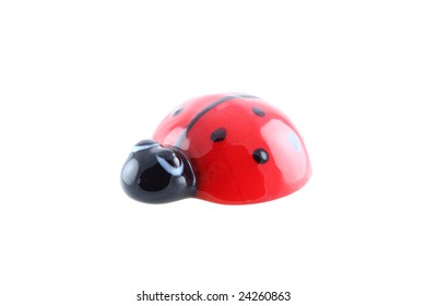 ladybug isolated (with clipping path)
