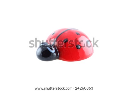 ladybug isolated (with clipping path)