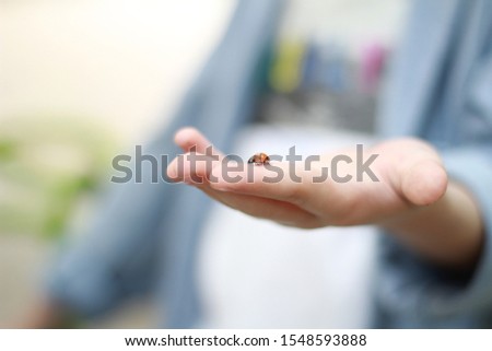 Similar – My daughter is holding a tiny little crab on her hand. There were thousands of them in the mudflats.