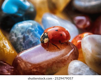 Ladybug on gemstones colorful postcard - Powered by Shutterstock