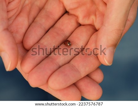 Similar – My daughter is holding a tiny little crab on her hand. There were thousands of them in the mudflats.