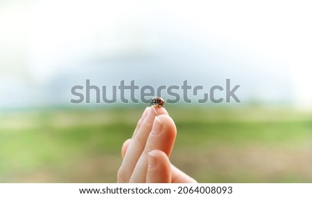 Similar – My daughter is holding a tiny little crab on her hand. There were thousands of them in the mudflats.