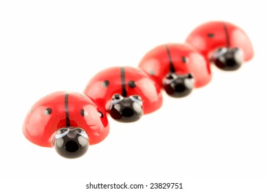 ladybugs isolated