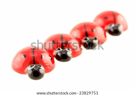 ladybugs isolated