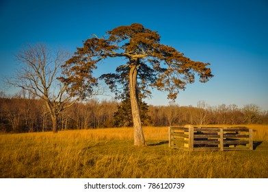 Lafayette Meeks Grave - Appomattox Court House National Historical Park