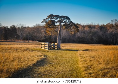 Lafayette Meeks Grave - Appomattox Court House National Historical Park