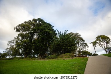 Lafayette Park In San Francisco