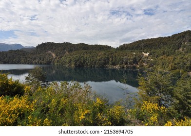 The Lago Correntoso, Road Of The Seven Lakes, Argentina.