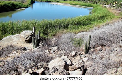 a lagoon by the beach

