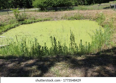 Lagoon On Farm For Sewage Treatment