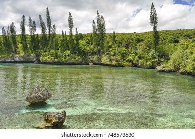 Lagoon On Mare Island, New Caledonia