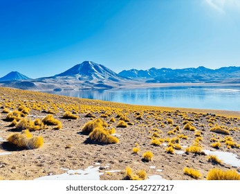 Lagoon in San Pedro de Atacama