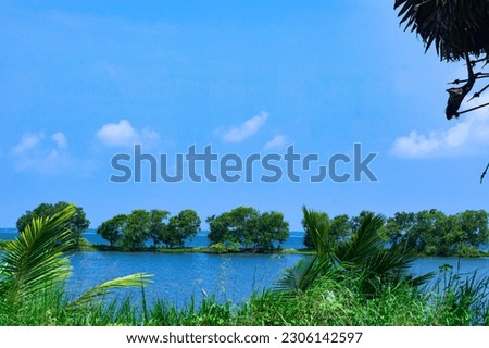 A lagoon surrounded with greeny environment  in Srilanka Kalpitiya Area