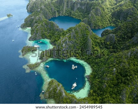 Similar – Image, Stock Photo Palawan, Philippines aerial drone view of turquoise lagoon and limestone cliffs. El Nido Marine Reserve Park