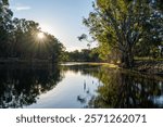 Lagoons near the banks of the Murray River between Howlong and Corowa