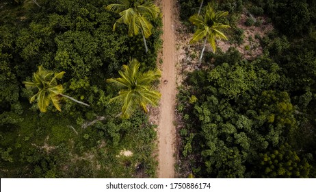Lagos, Nigeria - May 17 2020: landscape of a beautiful aerial view of a pathway in the wood. 