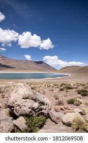 Laguna Miñiques - The Atacama Desert