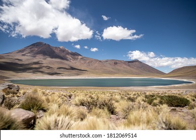 Laguna Miñiques - The Atacama Desert