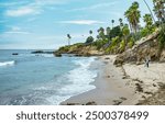 Laguna Beach ocean shoreline with palm trees at Treasure Island Park, Orange County California USA