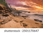 Laguna Beach ocean shoreline with palm trees at Treasure Island Park, Orange County California USA